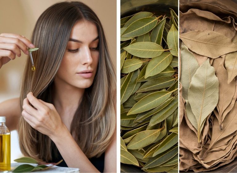 Revive Your Hair Naturally with The Magic of Bay Leaf Hair Remedies