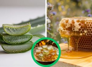 Aloe Vera and Honey for a Fresh, Healthy-Looking Glow