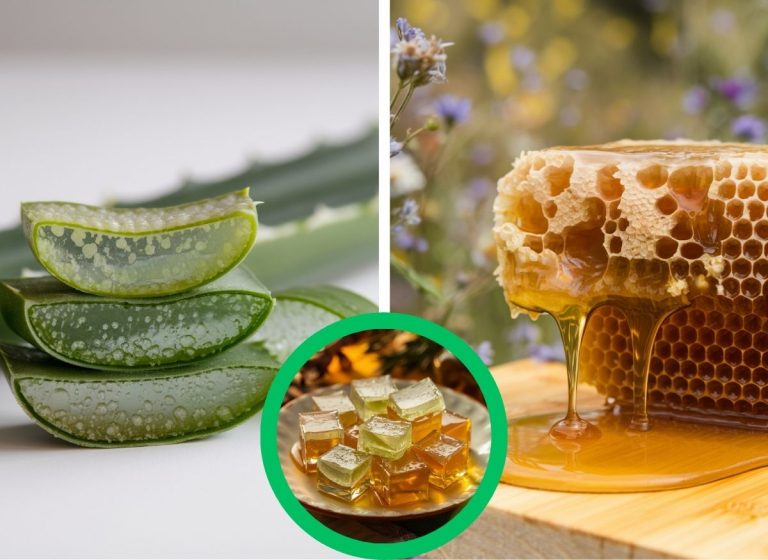 Aloe Vera and Honey for a Fresh, Healthy-Looking Glow