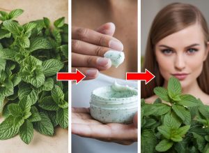 The Minty Fresh Secret are Peppermint Oil Hair Remedies for Growth and Strength