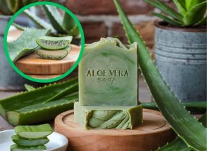 Homemade Aloe Vera Soap for a Fresh, Gentle Skin Feel