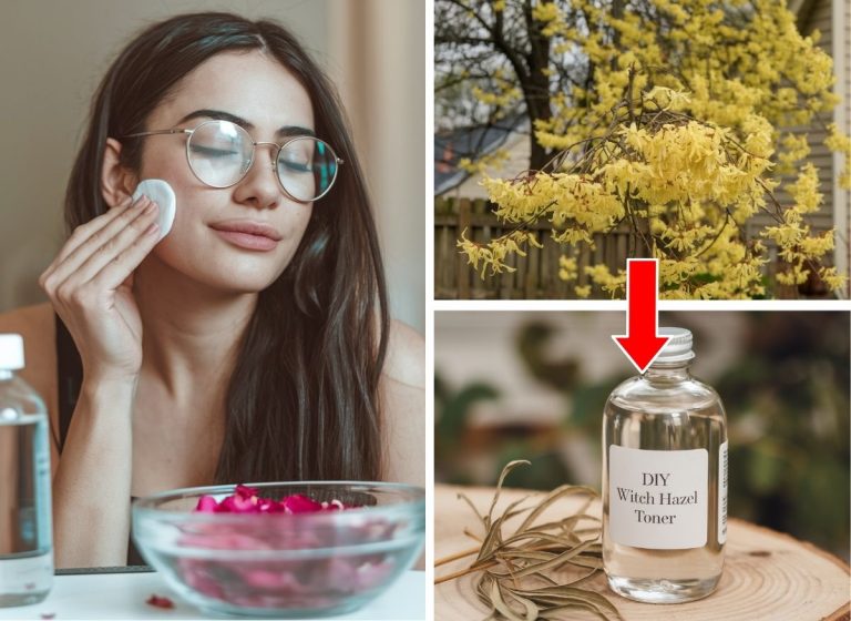 Easy Homemade Witch Hazel Toner for a Radiant Skin Glow