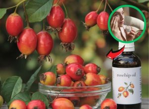 DIY Rosehip Eye Cream for a Brighter, Fresh-Looking Eye Area