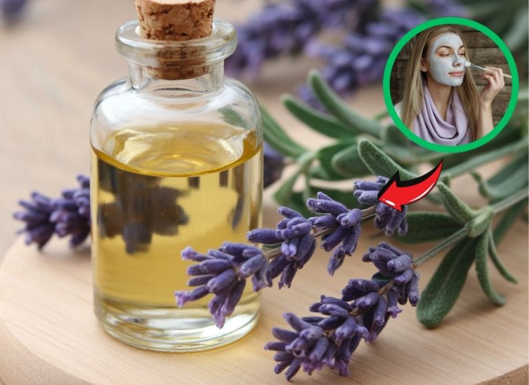 How Lavender Oil Can Refresh Your Everyday Skincare Routine