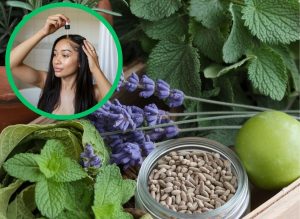 She Used This Herb-Infused Hair Growth Oil and Her Hair Grew Like Crazy!