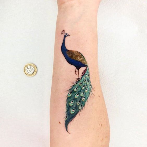  Beautiful Peacock Tattoos