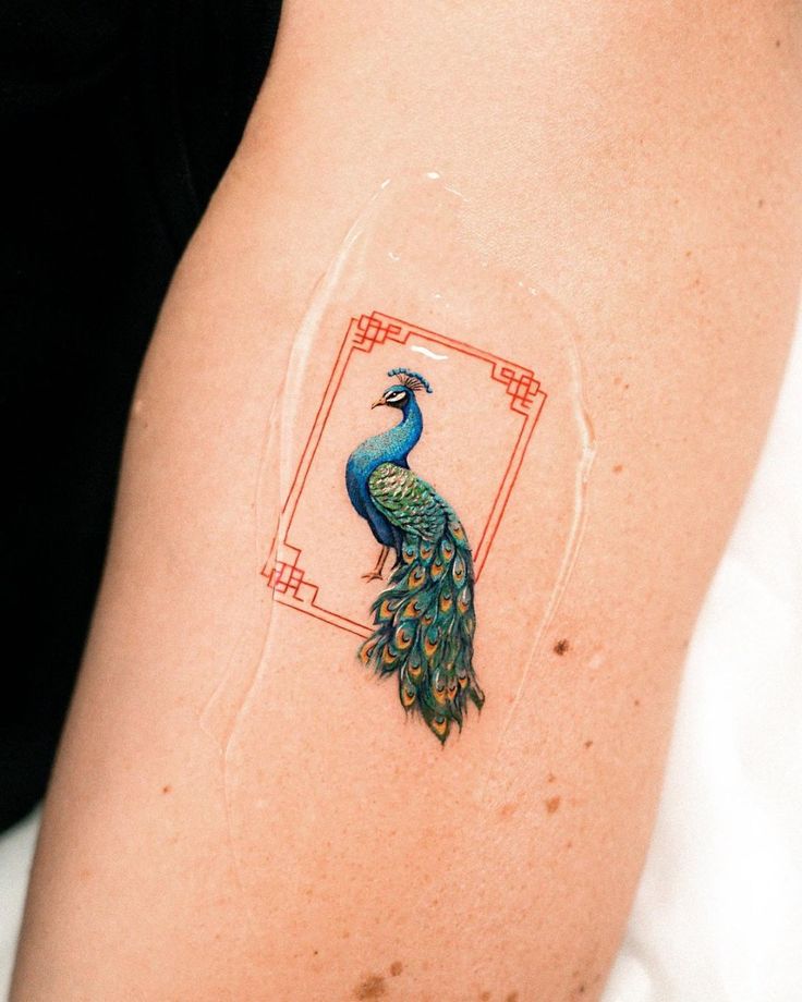  Beautiful Peacock Tattoos