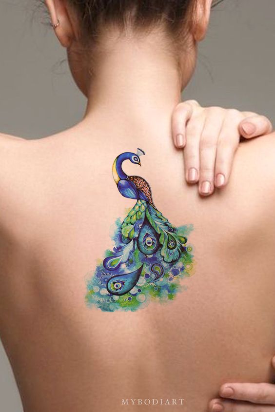  Beautiful Peacock Tattoos