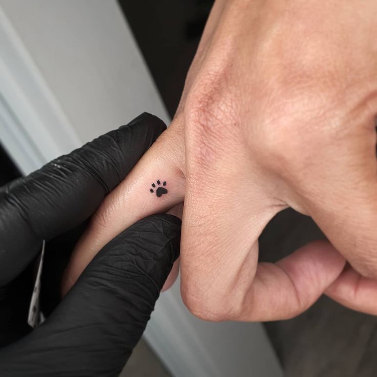  Cat Paw Print Tattoos