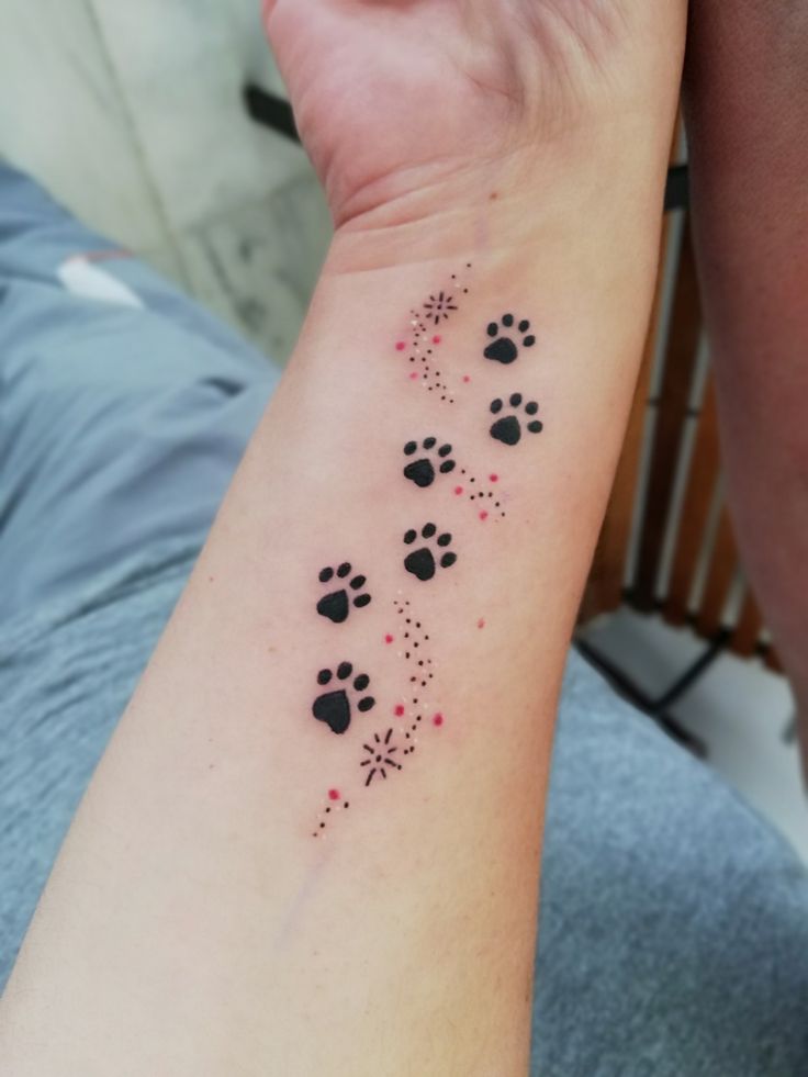  Cat Paw Print Tattoos