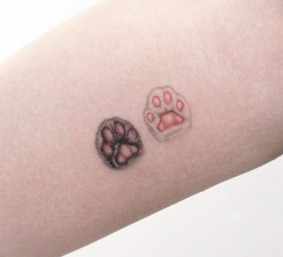  Cat Paw Print Tattoos
