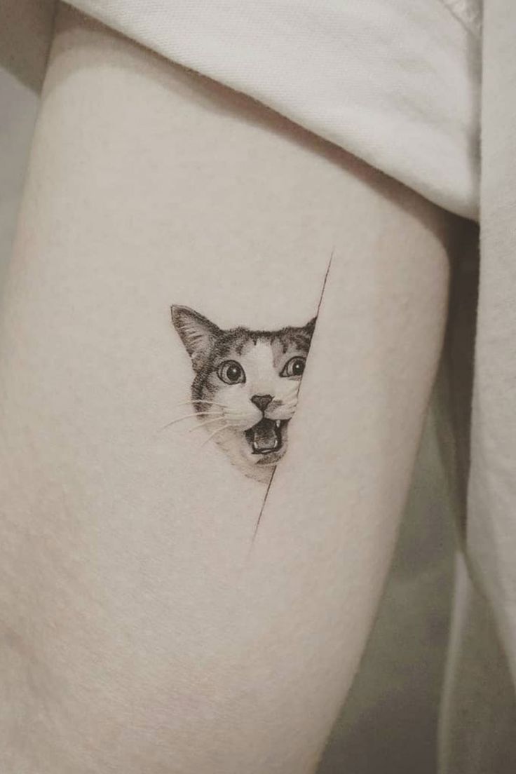  Cat Peeking Tattoos