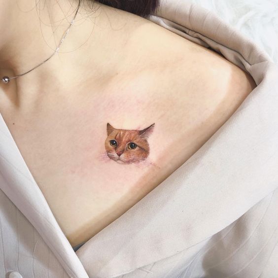  Cat Peeking Tattoos