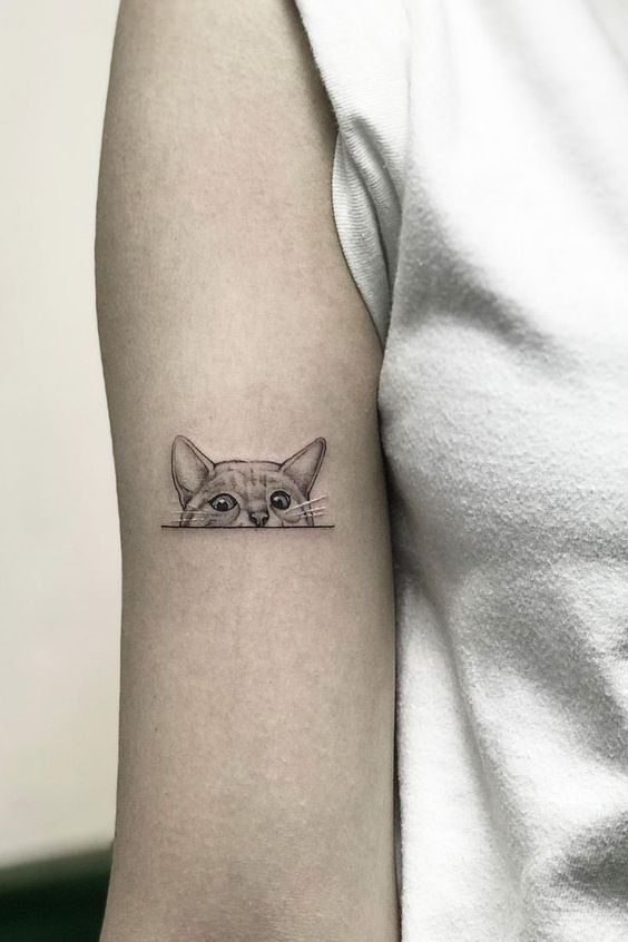  Cat Peeking Tattoos