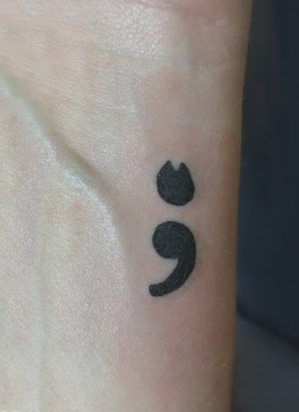 Feline Semicolon