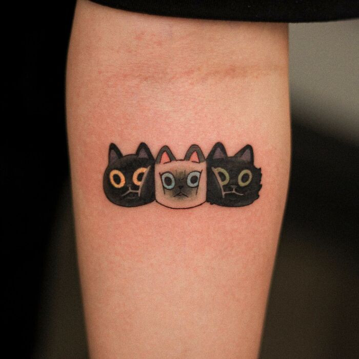 Feline Trio