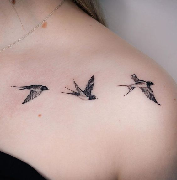 Flock Of Birds