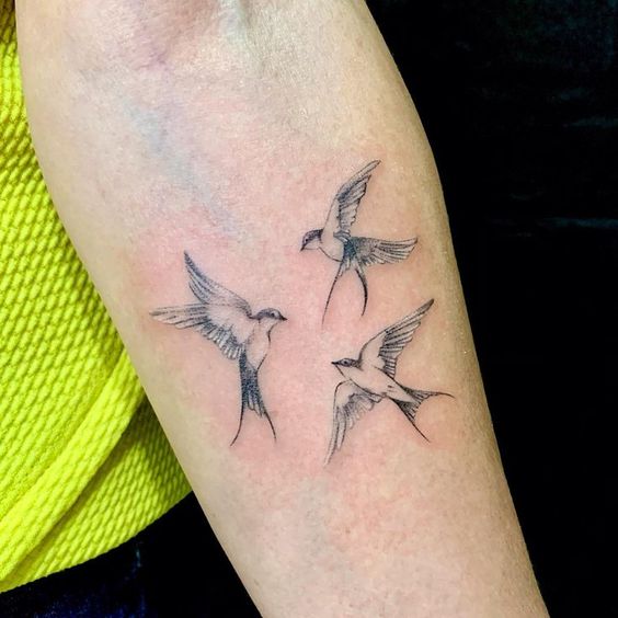 Flock Of Birds