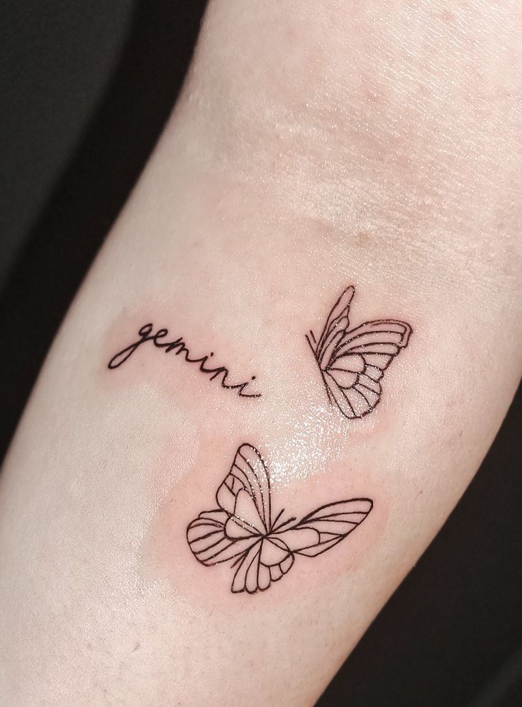Gemini Butterfly Art
