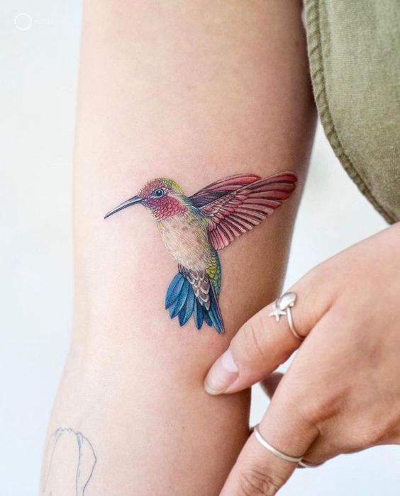 Gorgeous Hummingbird Inks