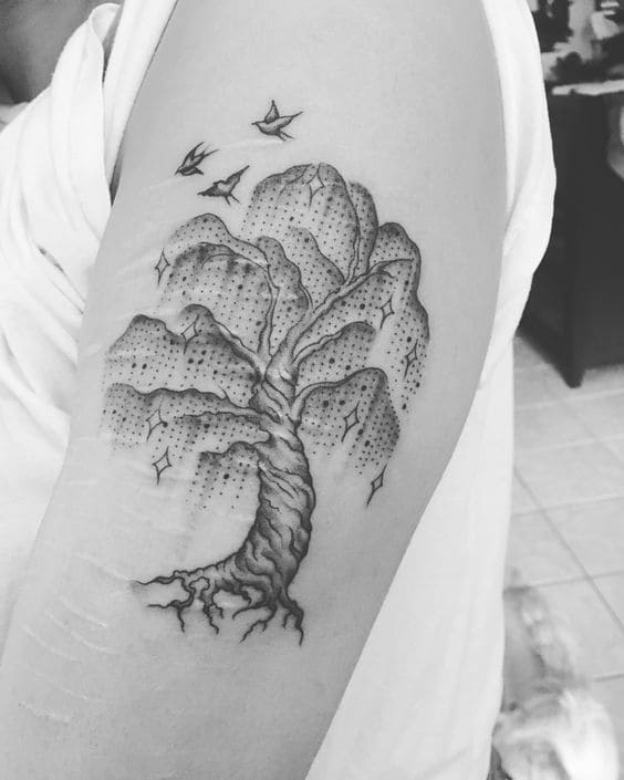 Graceful Willow Tats