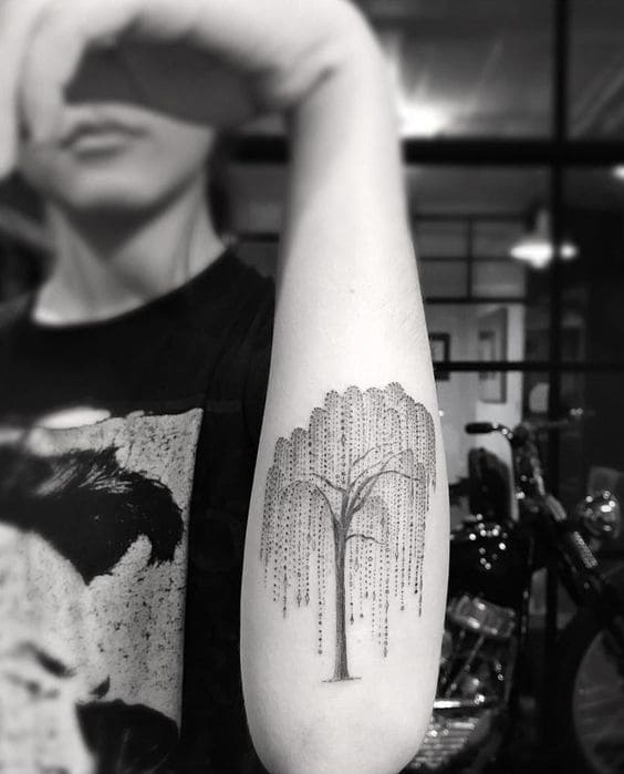 Graceful Willow Tats