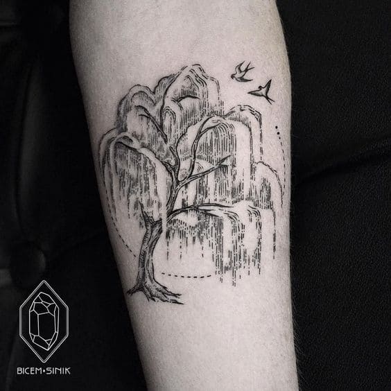 Graceful Willow Tats