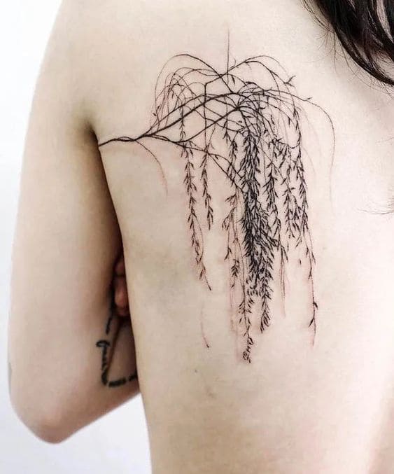 Graceful Willow Tats