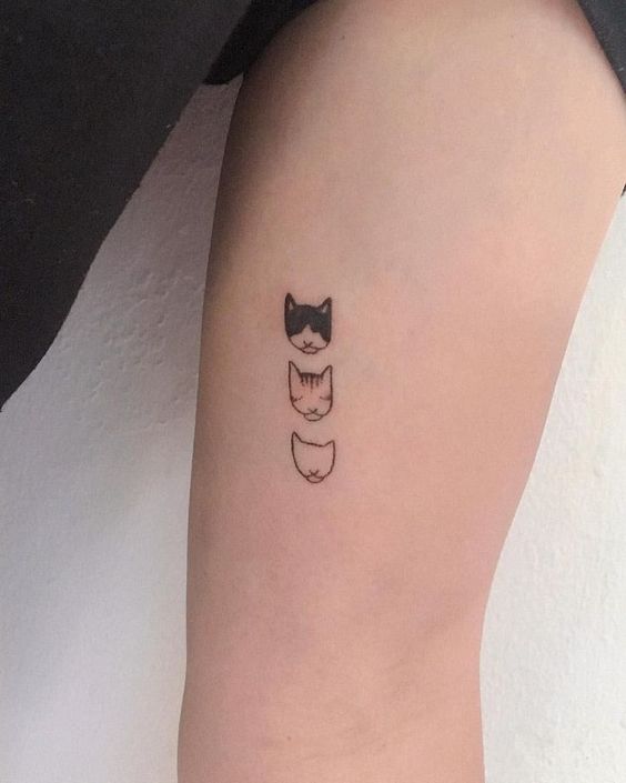 Minimalist Cat Outline Inks