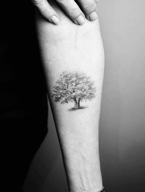 Oak Tree Tattoo Ideas