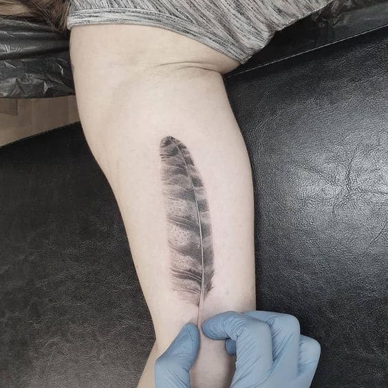 Owl Feather Tats