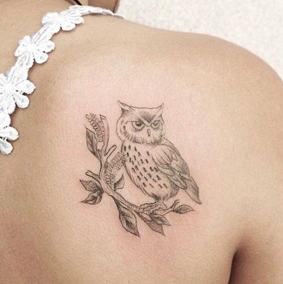 Owl Tattoo Designs
