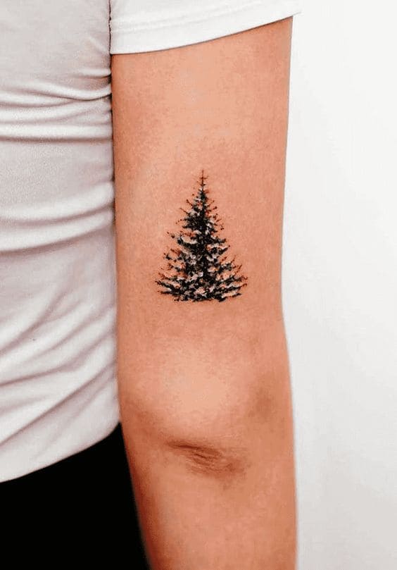 Realistic Pine Tattoos