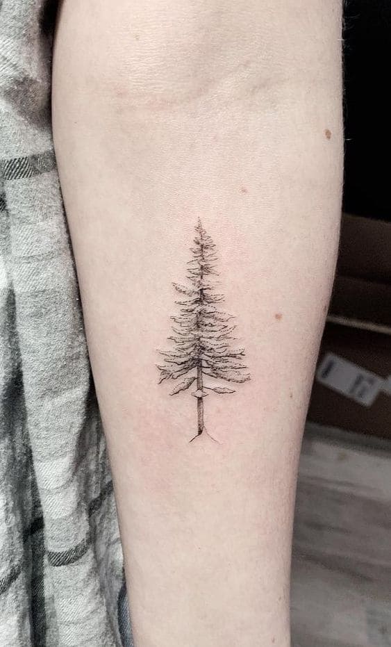 Realistic Pine Tattoos