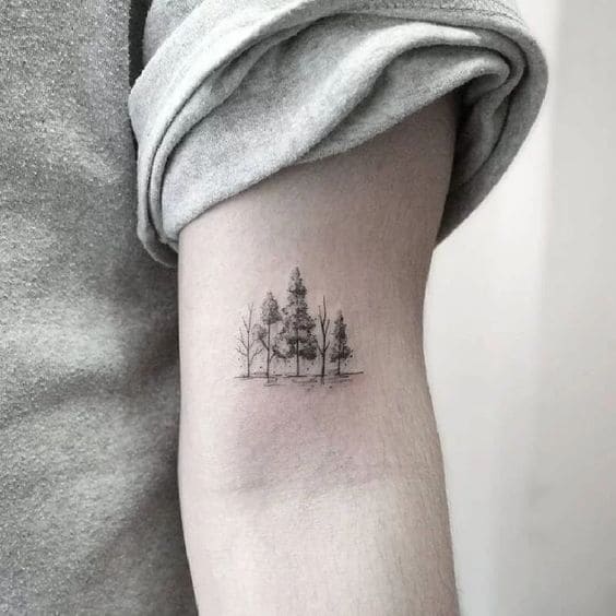 Realistic Pine Tattoos