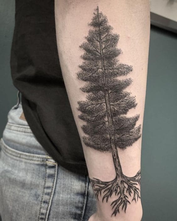 Realistic Pine Tattoos