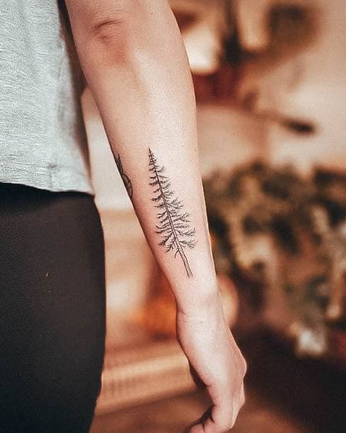 Realistic Pine Tattoos