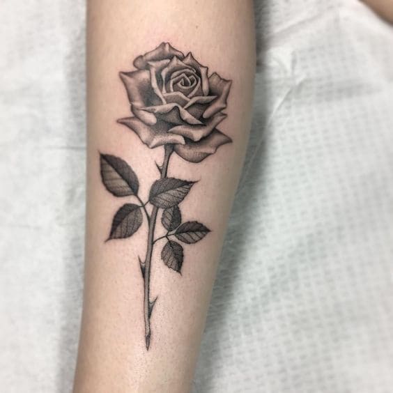 Rose Thorn Tattoo