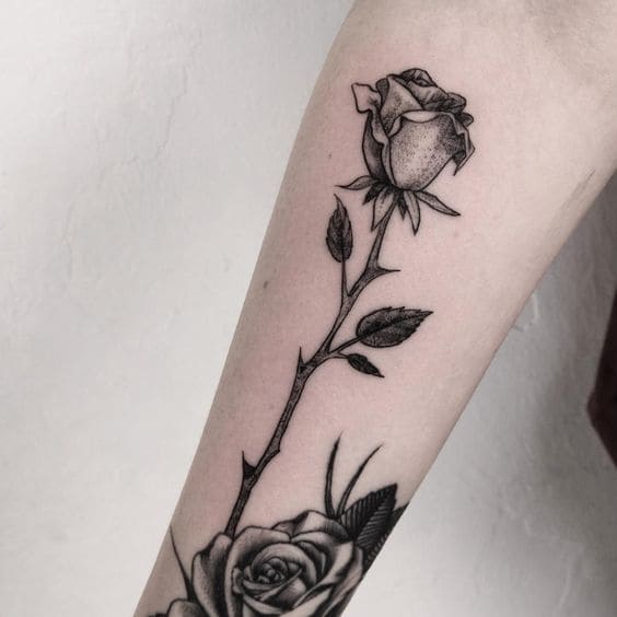 Rose Thorn Tattoo