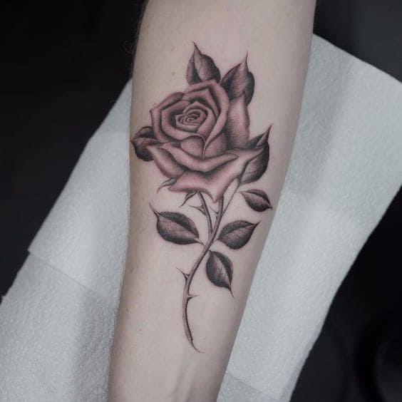 Rose Thorn Tattoo