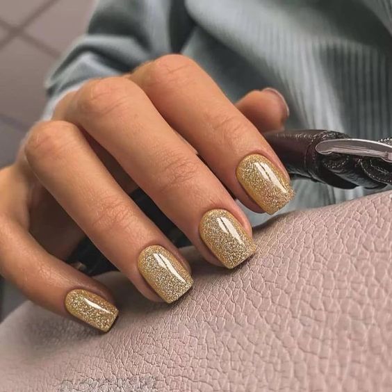Shimmer Short Fall Nail Ideas3