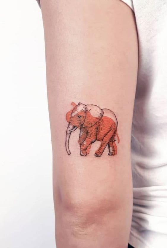 Watercolor Animal Tats