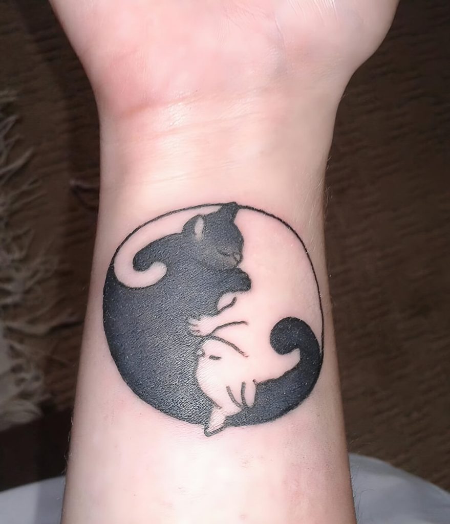 Yin-And-Yang Cats