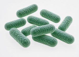 10 Serious Listeria Symptoms That Can Be Easy to Miss