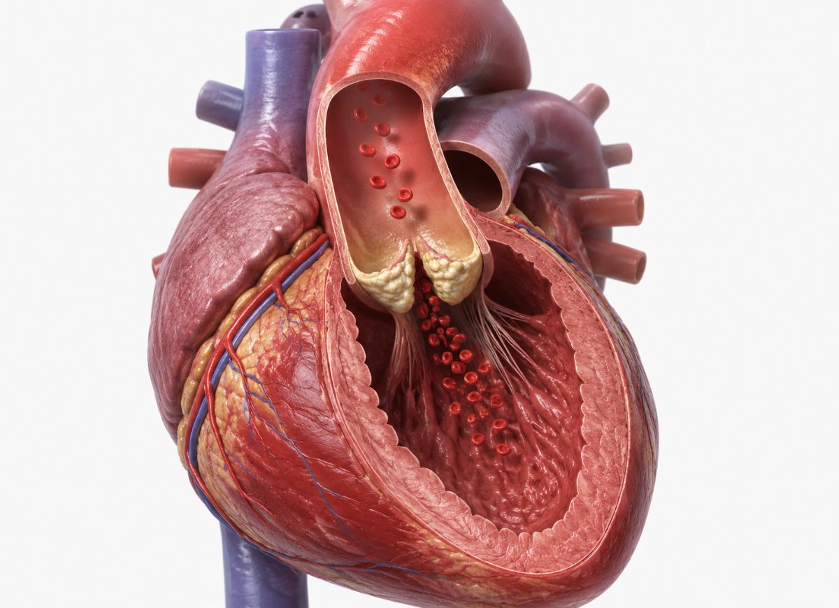 7 Key Warning Signs of Essential Thrombocythemia