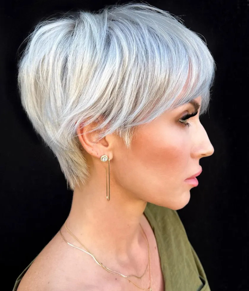 Ashy Silver Pixie Bob