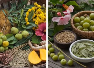Unlock the Indian Hair Growth Secret with Natural Remedies for Lush, Long Hair