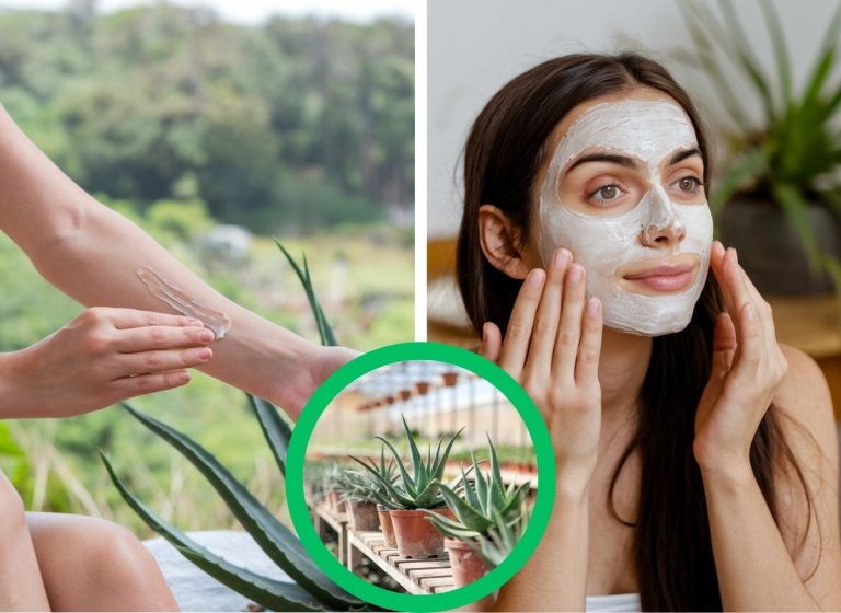 Aloe Vera & Collagen Skincare for Smooth, Youthful-Looking Skin