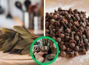DIY Clove & Bay Leaf Skincare Remedies for Radiant-Looking Skin