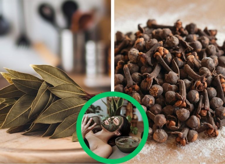 DIY Clove & Bay Leaf Skincare Remedies for Radiant-Looking Skin